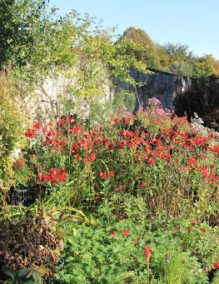 Garden Flower Beds and Lawn