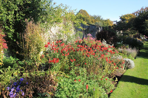 Garden Flower Beds and Lawn