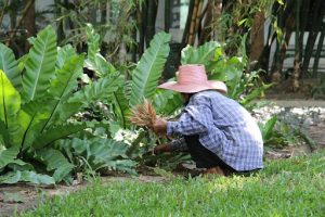 woman kneeling gardening