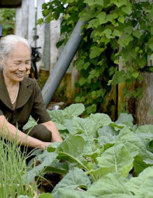 Woman gardening