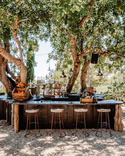 beach bar under trees