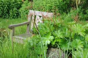 A wooden chair amongst long grasses in a garden